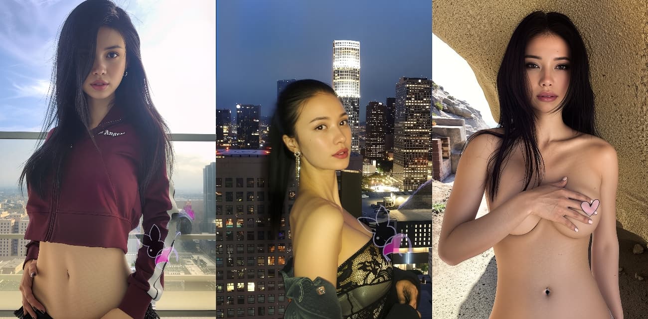 每日大赛代码-每日大赛代码任务专区-代码爱好者必备